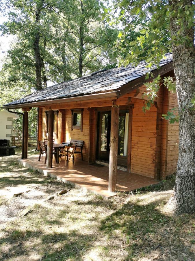 La Albarina Guest House Galende Exterior photo
