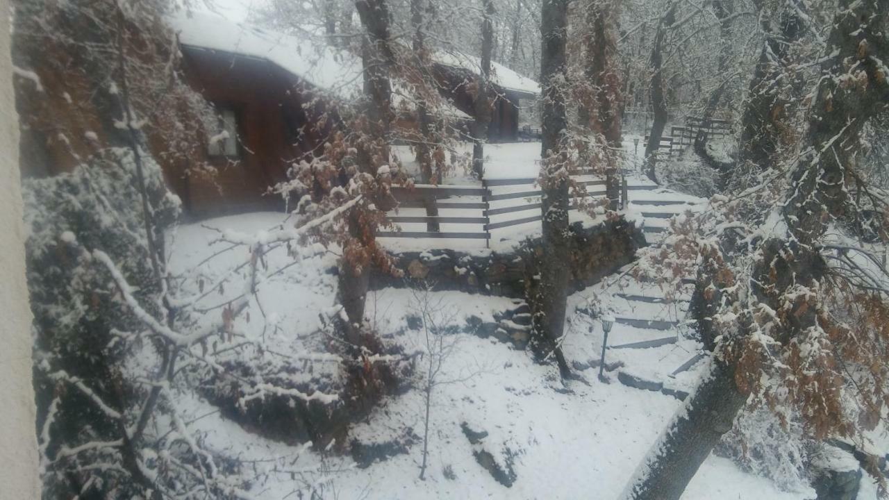 La Albarina Guest House Galende Exterior photo